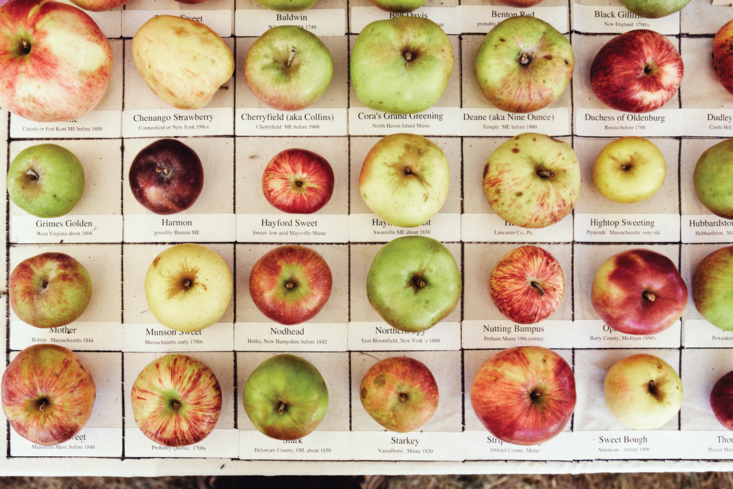 An apple a day